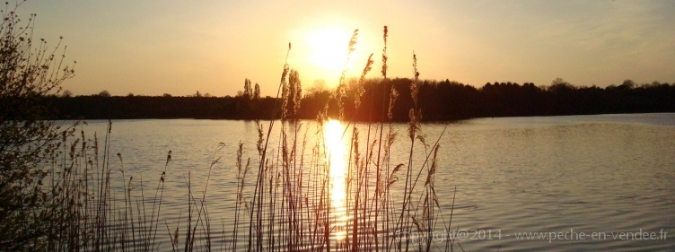 DSC00398
